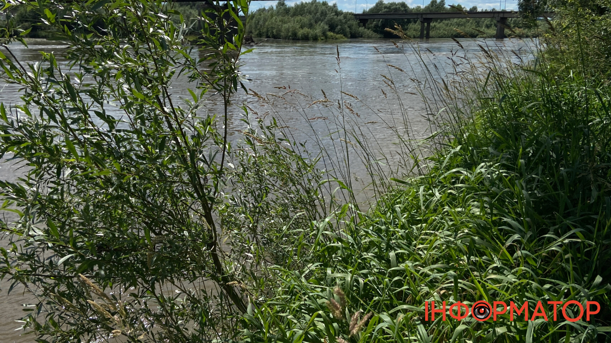 Обміління водойми на Прикрапатті