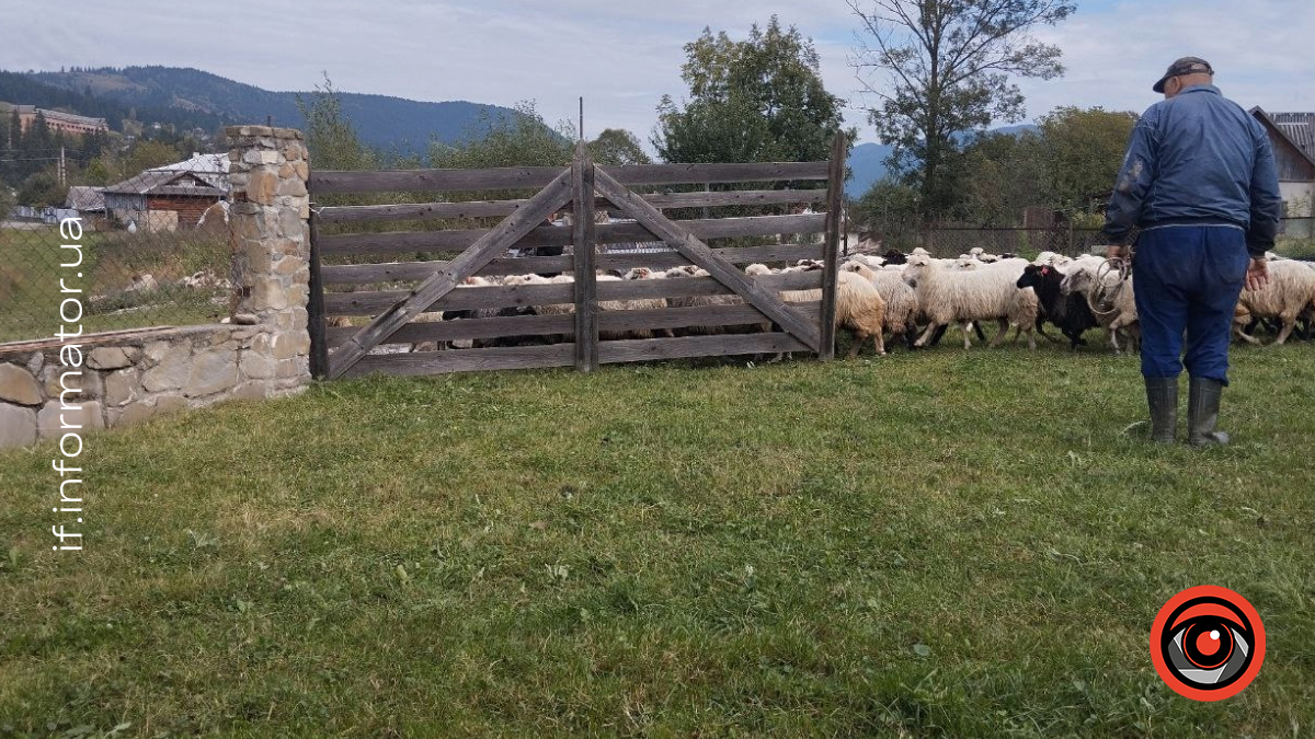 Фоторепортаж з Верховини 