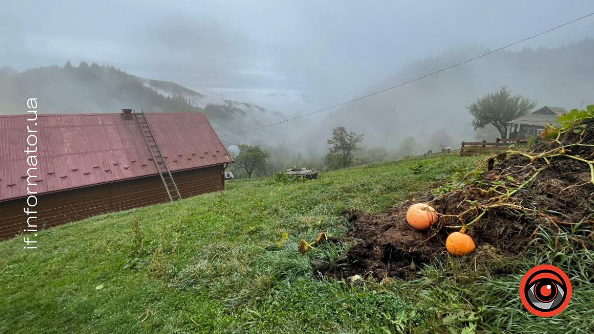 Фоторепортаж засніжених гір на Гуцульщині 