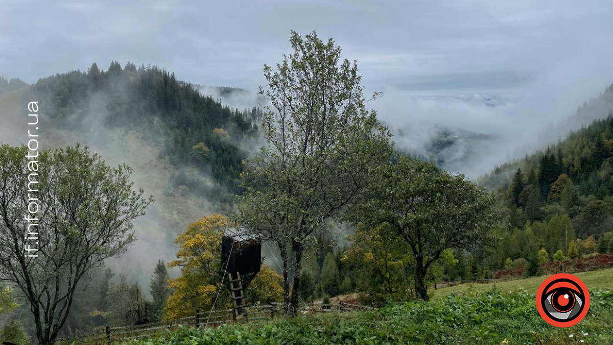 Засніжені гори на Гуцульщині 