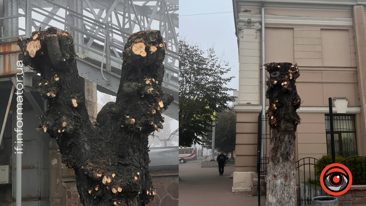 УЗ, кронування дерев, Франківськ