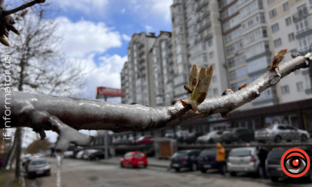 Погода в Івано-Франківську на Вербну неділю 13 квітня