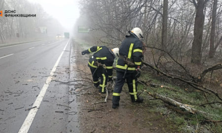 Ліквідація наслідків буревію