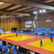 Спортивні здобутки прикарпатських спортсменів