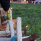 Розклад освячення Великодніх кошиків