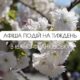 Афіша подій в Івано-Франківську