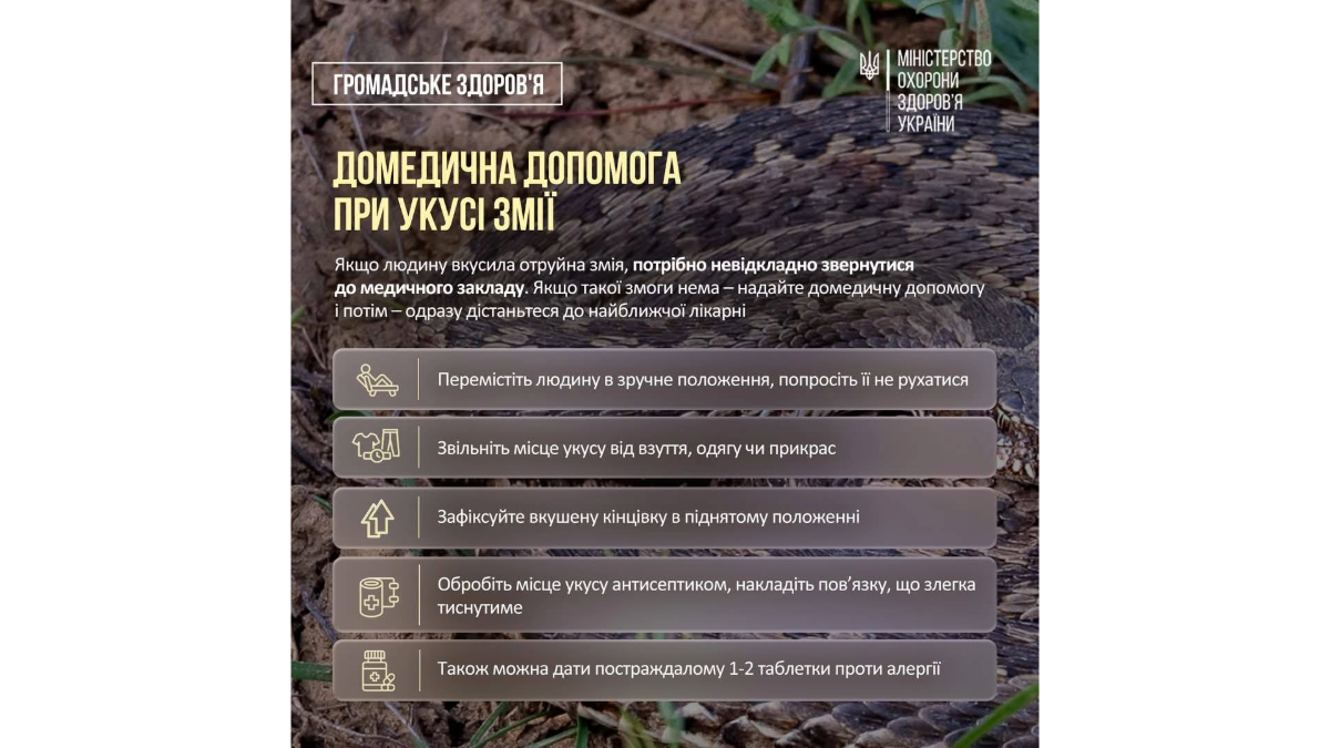 Гадюки звичайна, степова та Нікольського