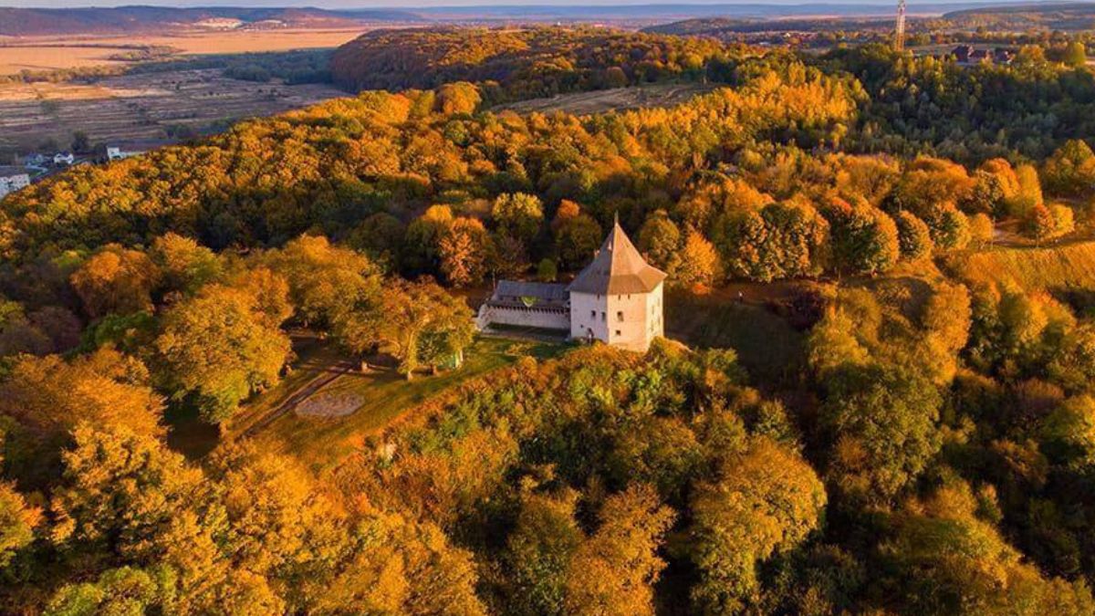 Сторічні каштани у Галичі