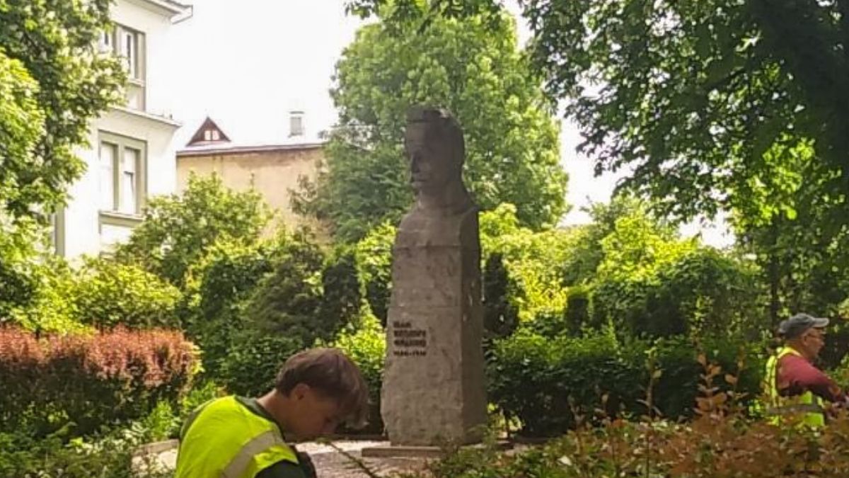 Обрізка дерев в Івано-Франківську
