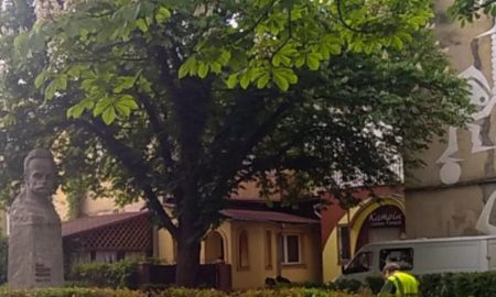 Обрізка дерев в Івано-Франківську