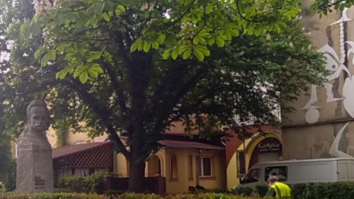 Обрізка дерев в Івано-Франківську