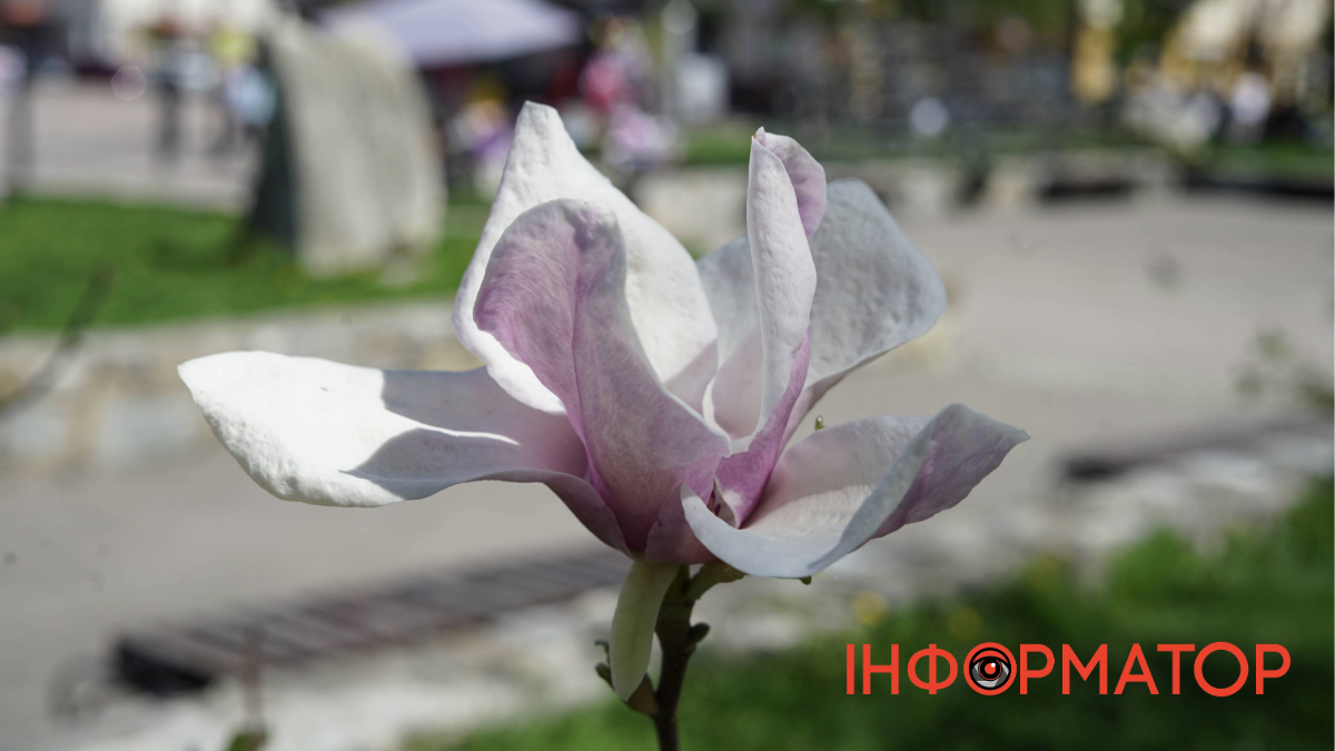 Що святкує Україна 1 червня: церковне свято, іменини та народні прикмети початку літа