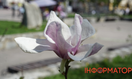 Що святкує Україна 1 червня: церковне свято, іменини та народні прикмети початку літа