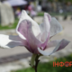 Що святкує Україна 1 червня: церковне свято, іменини та народні прикмети початку літа