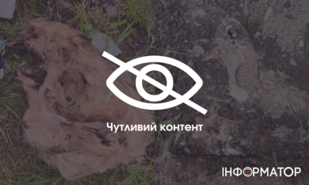 25 травня до поліції звернулася мешканка міста Галич, яка повідомила про загибель тварин у приватному будинку, що належить їй