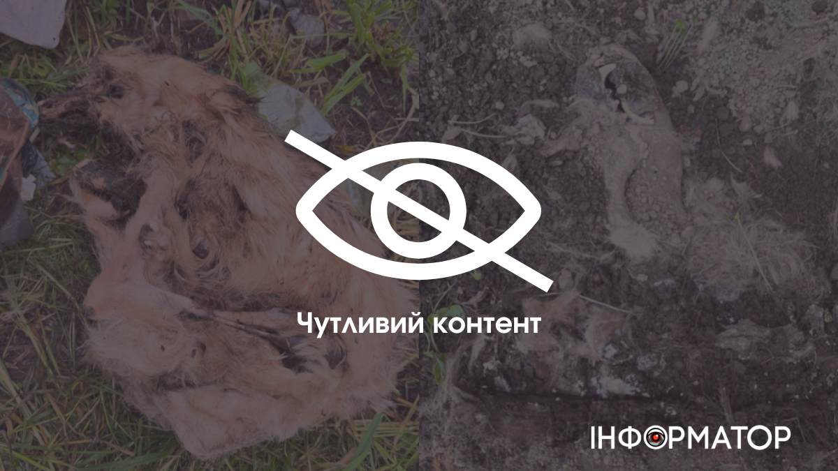 25 травня до поліції звернулася мешканка міста Галич, яка повідомила про загибель тварин у приватному будинку, що належить їй