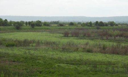 Водойма у Галичі