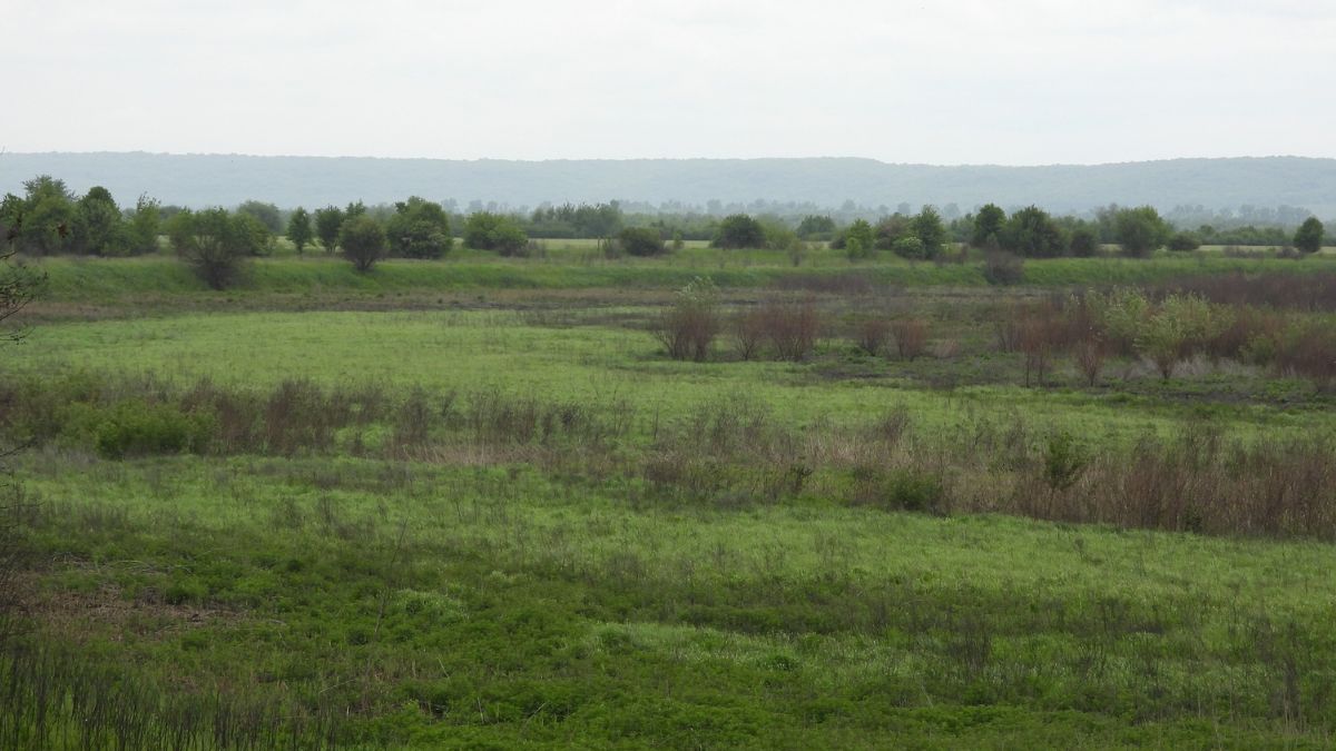 Водойма у Галичі