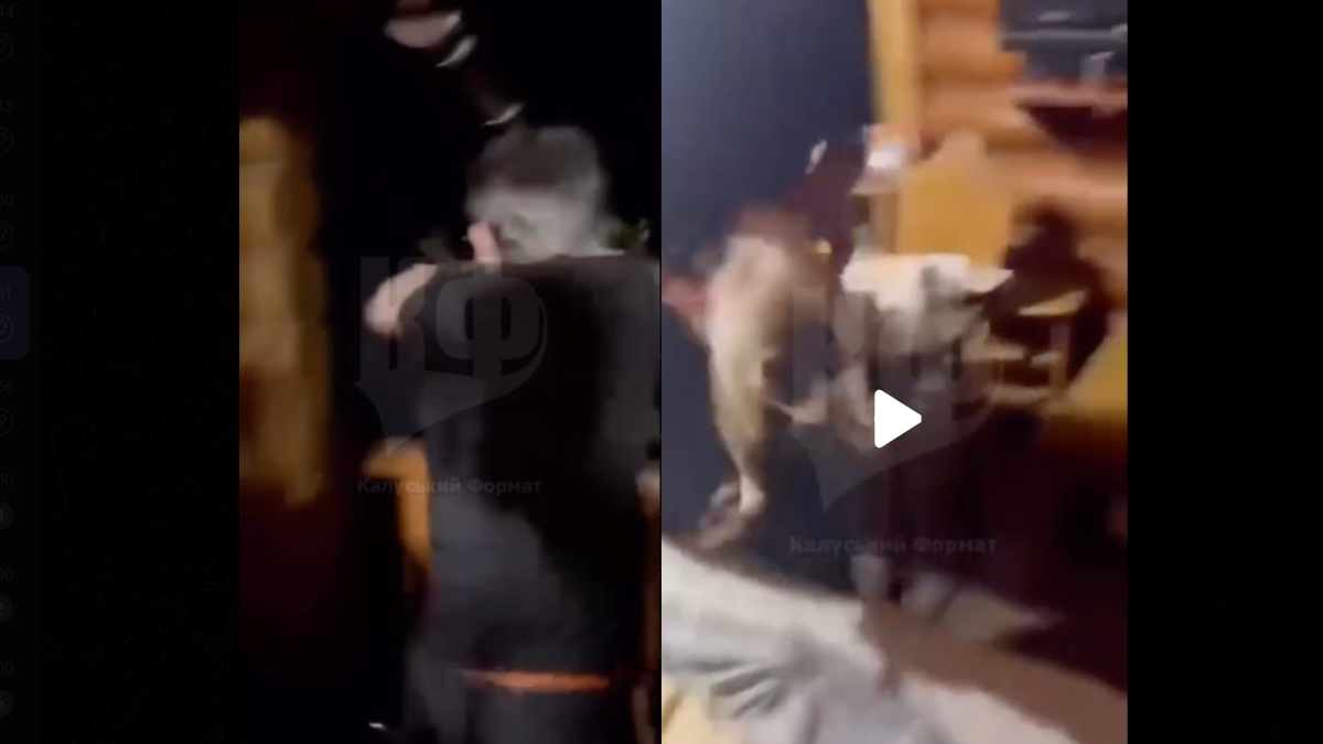 На Прикарпатті матір неповнолітнього, який викинув кота з другого поверху, притягнули до відповідальності
