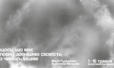Ненавмисні двійники: виставка Марії Русінкевич та Кристини Мельник в Асортиментній кімнаті Франківська