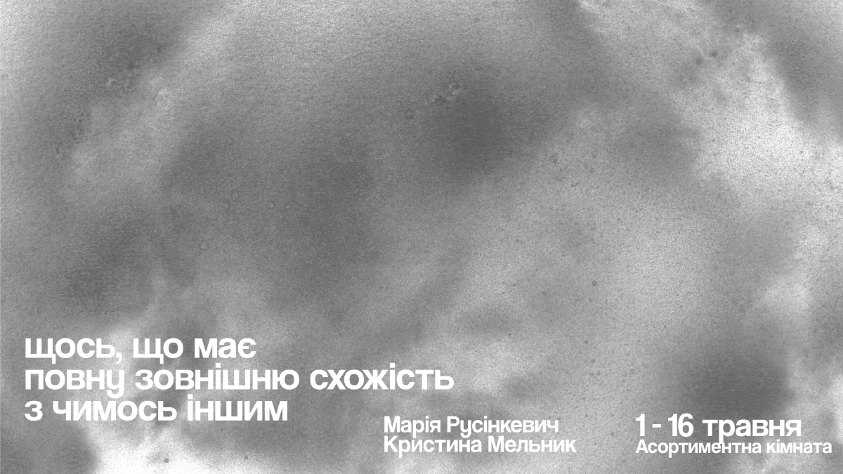 Ненавмисні двійники: виставка Марії Русінкевич та Кристини Мельник в Асортиментній кімнаті Франківська