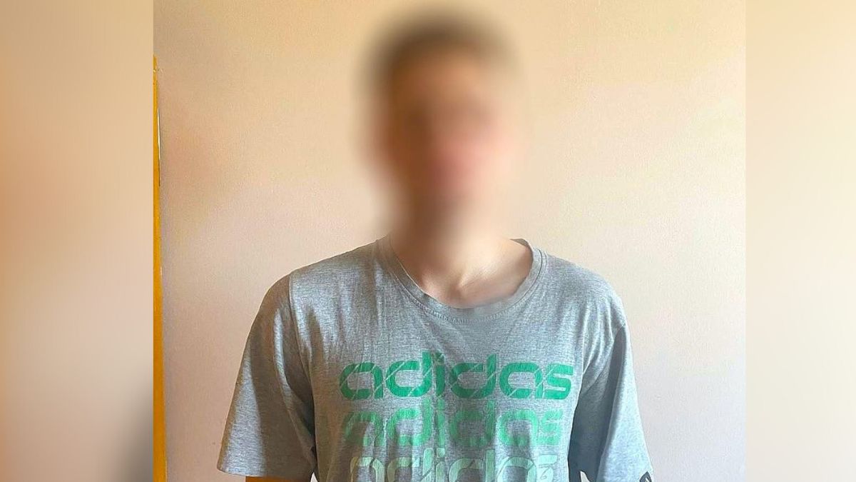 Чоловік, який пошкодив скульптуру