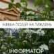 Афіша подій в Івано-Франківську 16-22 червня