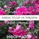 події у Франківську
