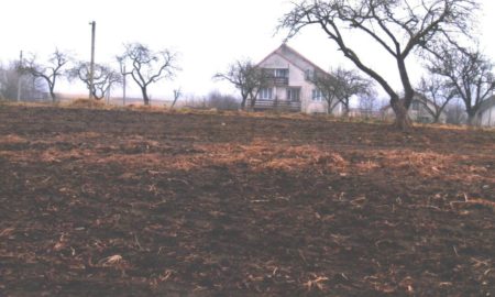 Археологічні знахідки у Галичі