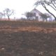 Археологічні знахідки у Галичі