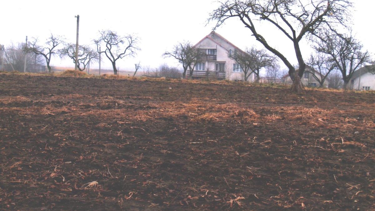 Археологічні знахідки у Галичі