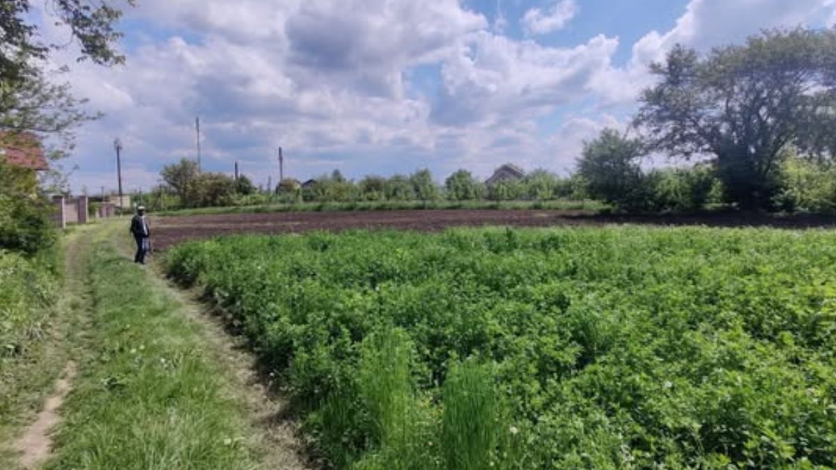 Археологічні знахідки у Галичі