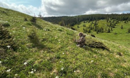 Цвітіння рідкісних квітів на Верховинщині
