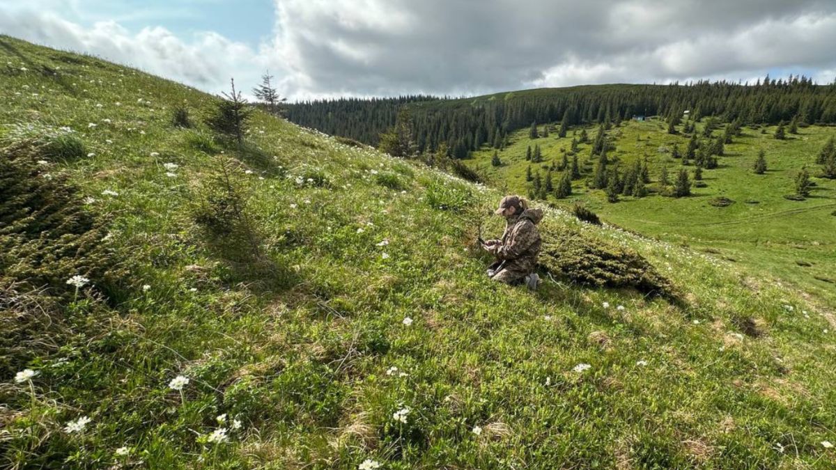 Цвітіння рідкісних квітів на Верховинщині