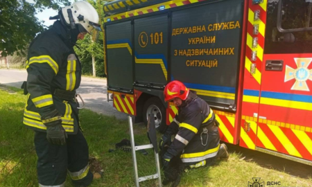 13 червня на вулиці Шептицького, в місті Долина, собака впала у колодязь і не могла самостійно вибратися