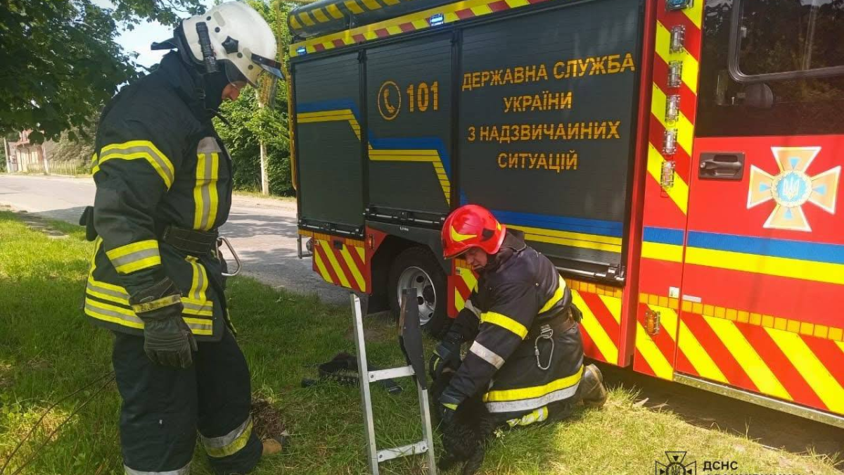 13 червня на вулиці Шептицького, в місті Долина, собака впала у колодязь і не могла самостійно вибратися