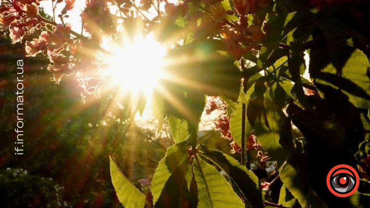 Прогноз погоди в Івано-Франківську 8 червня
