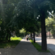 Вулиця Коновальця