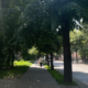 Вулиця Коновальця