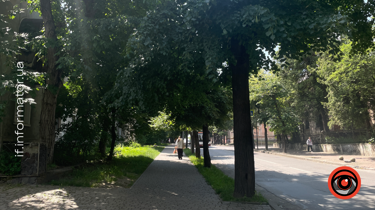 Вулиця Коновальця