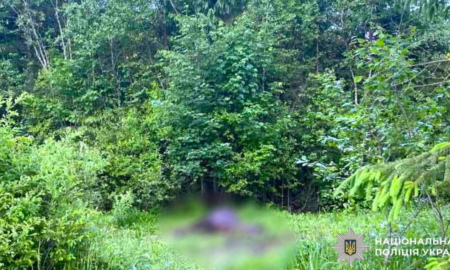 21 червня в одному з лісових масивів поблизу села Зелена, що на Надвірнянщині, виявили мертвого коня. Тварина мала вогнепальне поранення
