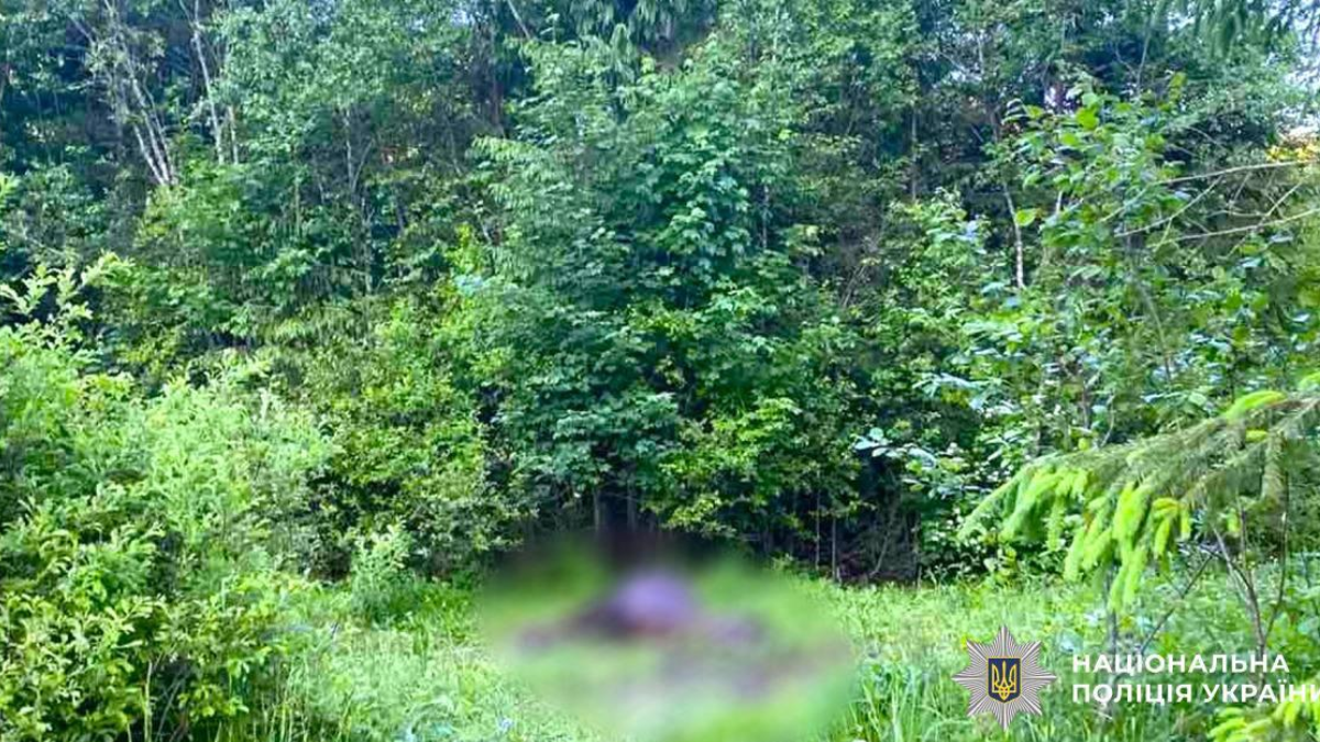 21 червня в одному з лісових масивів поблизу села Зелена, що на Надвірнянщині, виявили мертвого коня. Тварина мала вогнепальне поранення