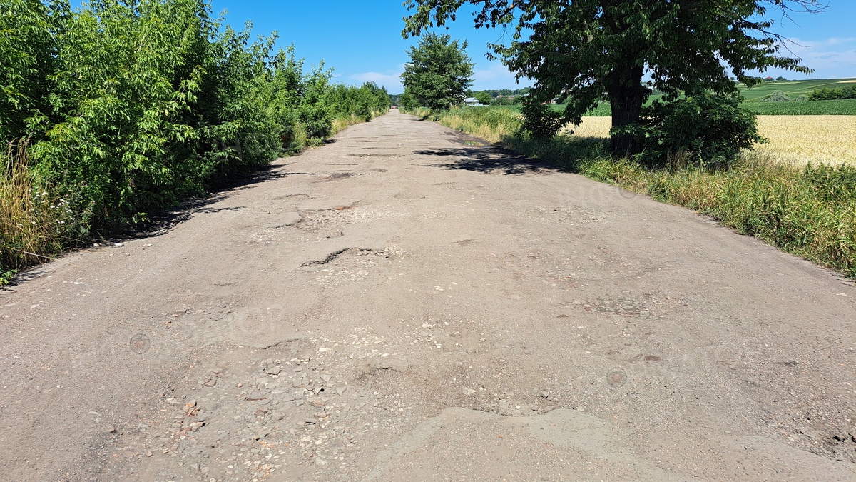 Дорога в селі Топорівці