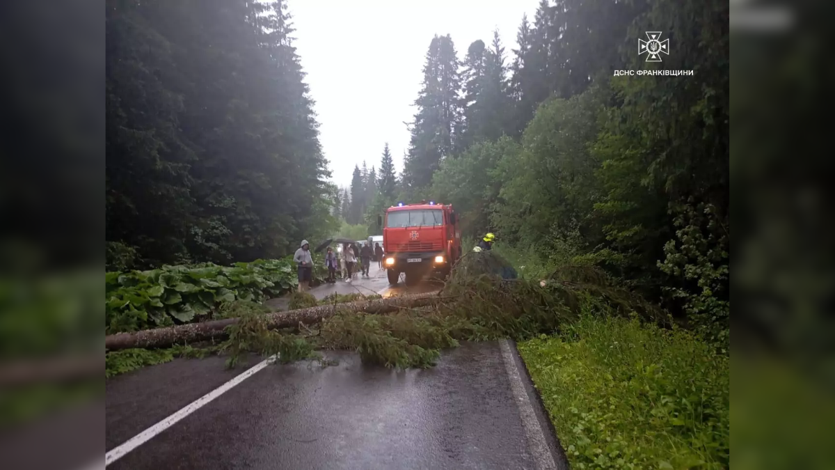 Негода у Франківську повалила дерева