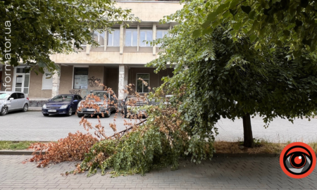 На вул. Незалежності попадали дерева. Фото: очевидці