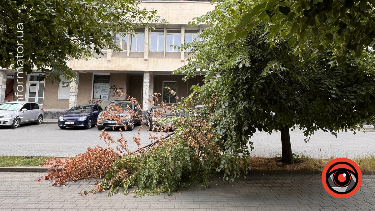На вул. Незалежності попадали дерева. Фото: очевидці