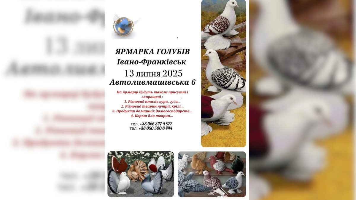 Куди піти цієї неділі в Івано-Франківську