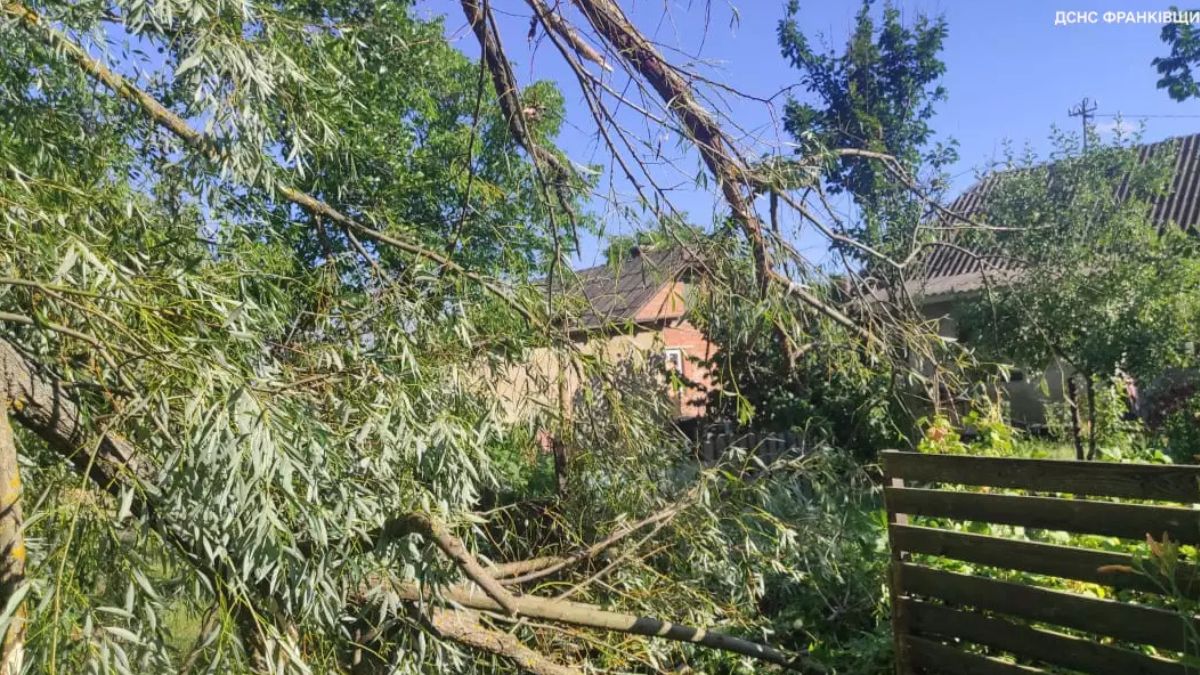 Повалені дерева на Прикарпатті 