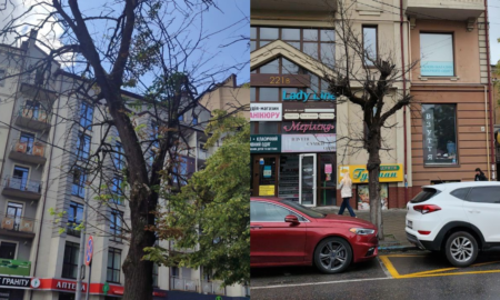 3 липня в Івано-Франківську комунальні служби проводитимуть зрізку сухих дерев