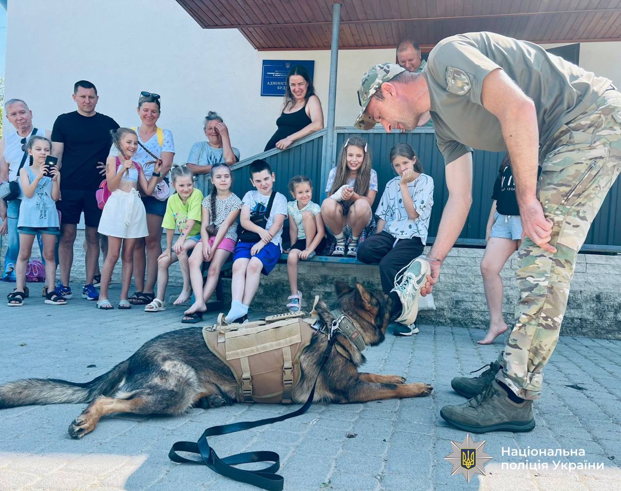 собака службова